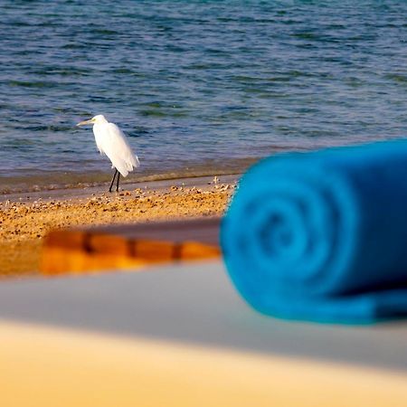 Zen Resort Sahl Hasheesh By Tbh Hotels 洪加達 外观 照片